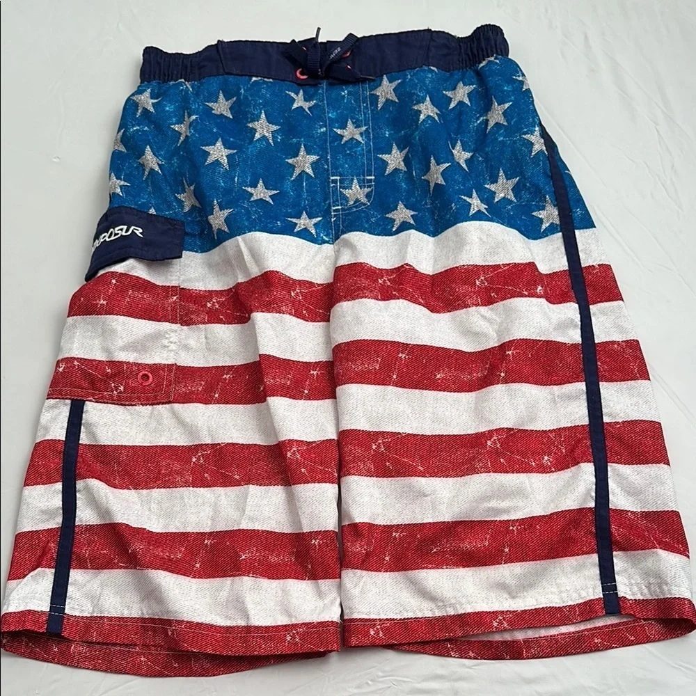 ZeroXposur American flag red white and blue lined swim trunks